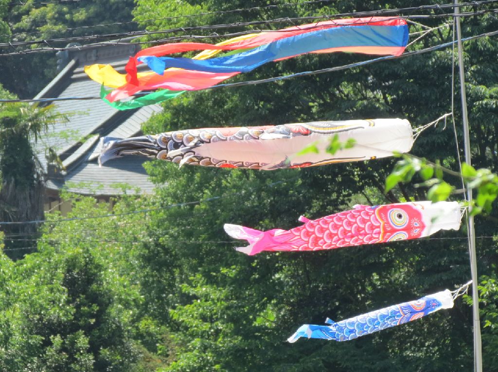koinobori